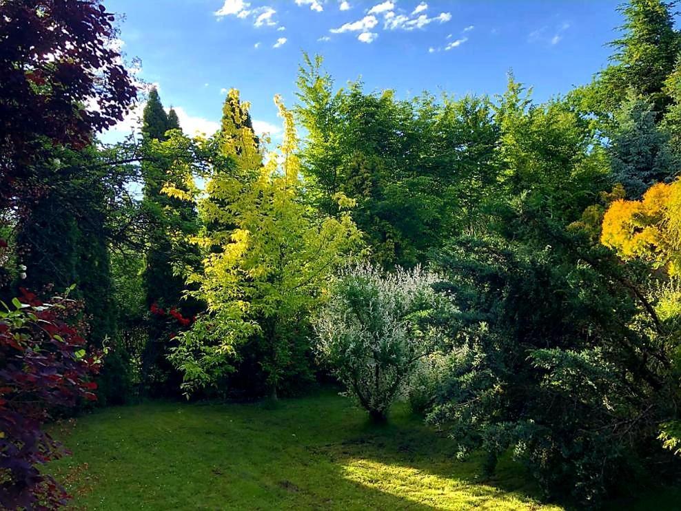 Secret Garden Residence باشكوفكا المظهر الخارجي الصورة